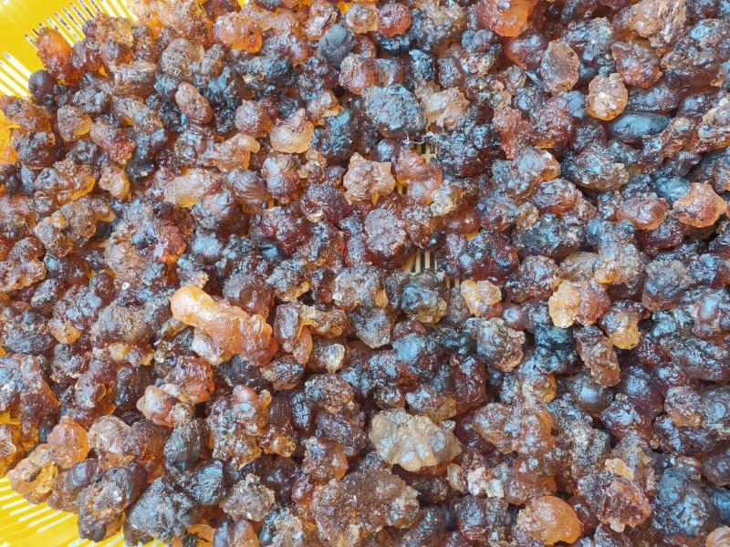 高山老树人工精选野生大颗粒桃胶