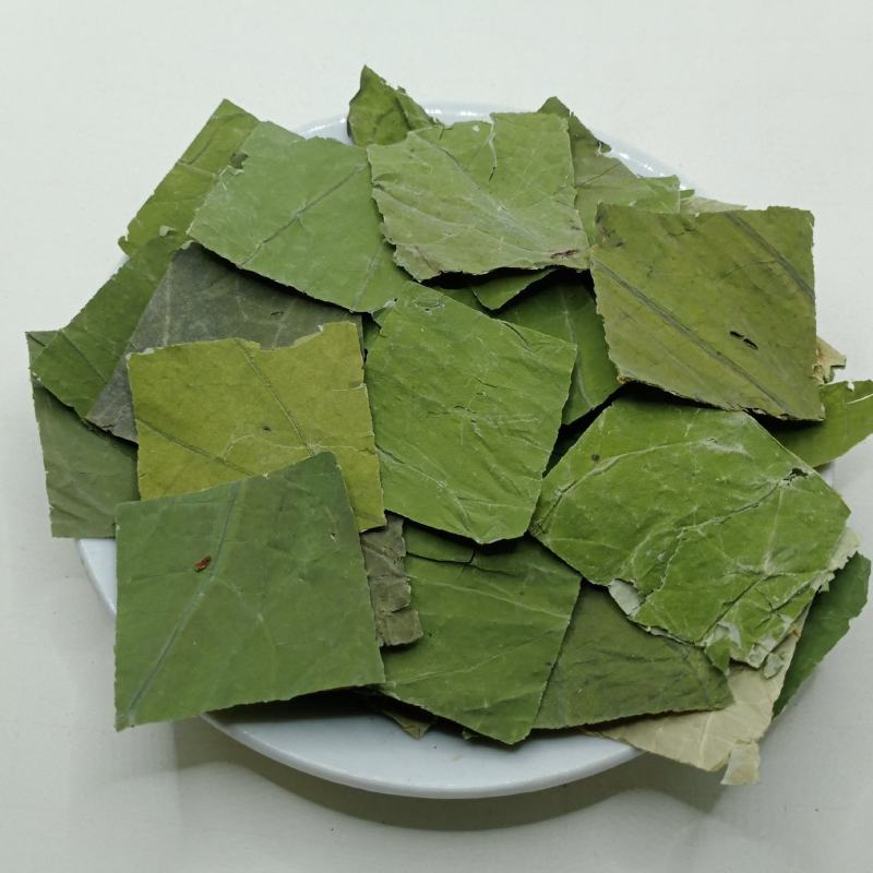荷叶中药材批发荷叶