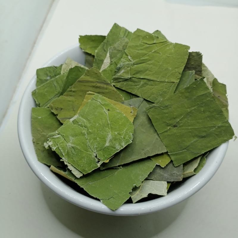 荷叶中药材批发荷叶