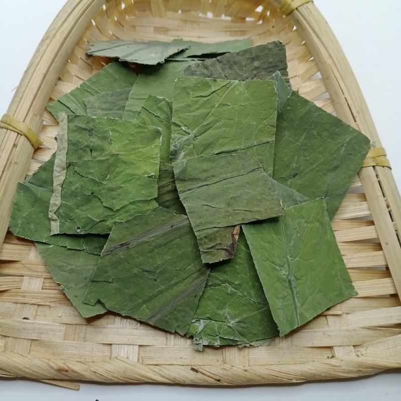 荷叶中药材批发荷叶