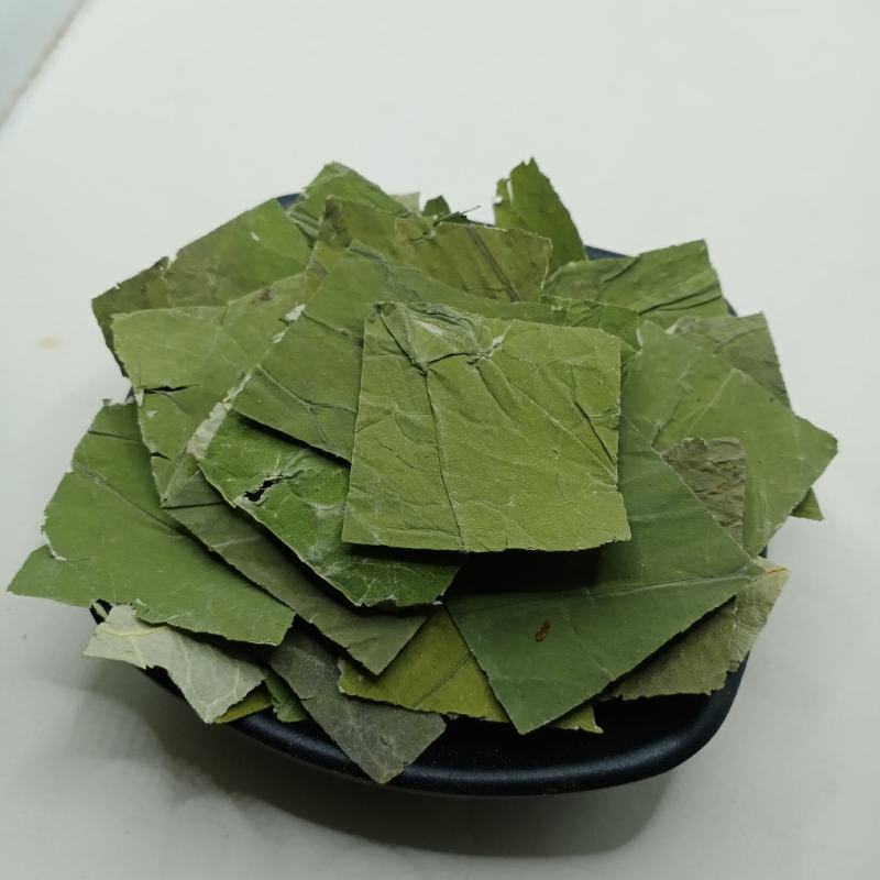 荷叶中药材批发荷叶