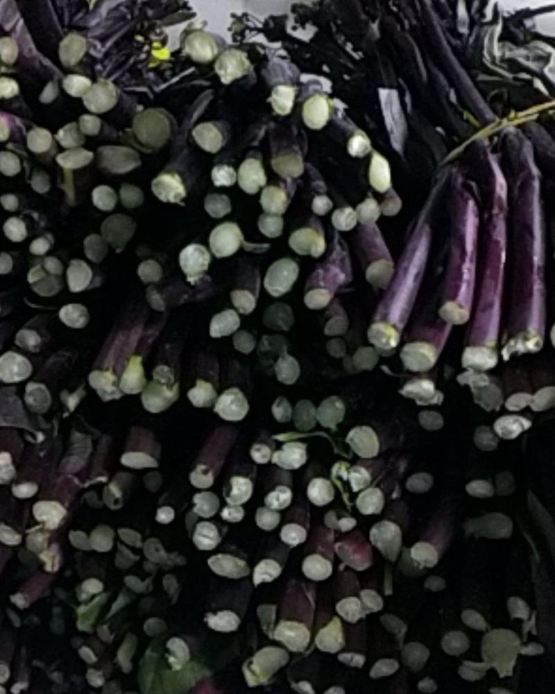 贵州高原红菜苔鲜亮精品