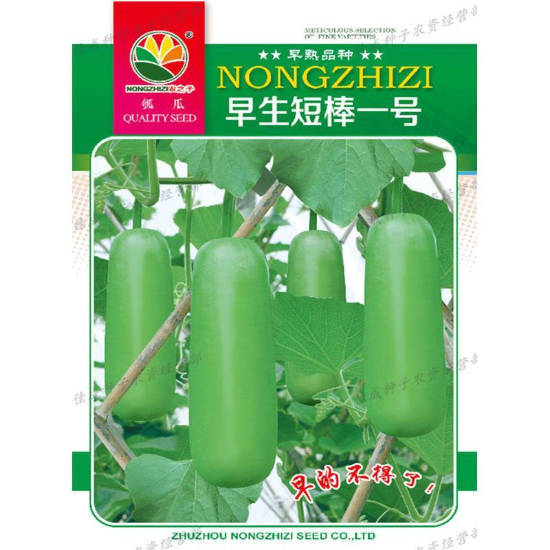 湖南邵阳基地直供早熟高产瓠瓜苗，提供技术，全国发货，