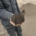 推荐】销售草炭土腐殖土园林用土有机肥菌肥货源充足可开发票