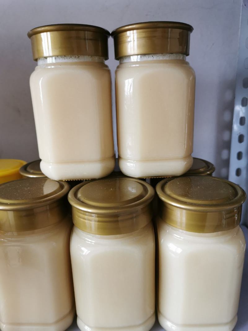 广西深山农家鸭脚木冬蜜纯正蜂蜜