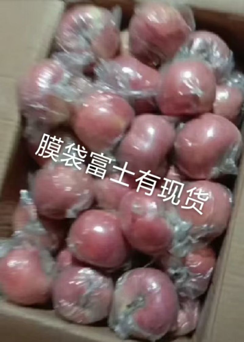 红富士苹果，膜袋长期有货，欢迎新老炯友洽谈
