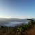云南西盟佤族自治县大山生态蜜