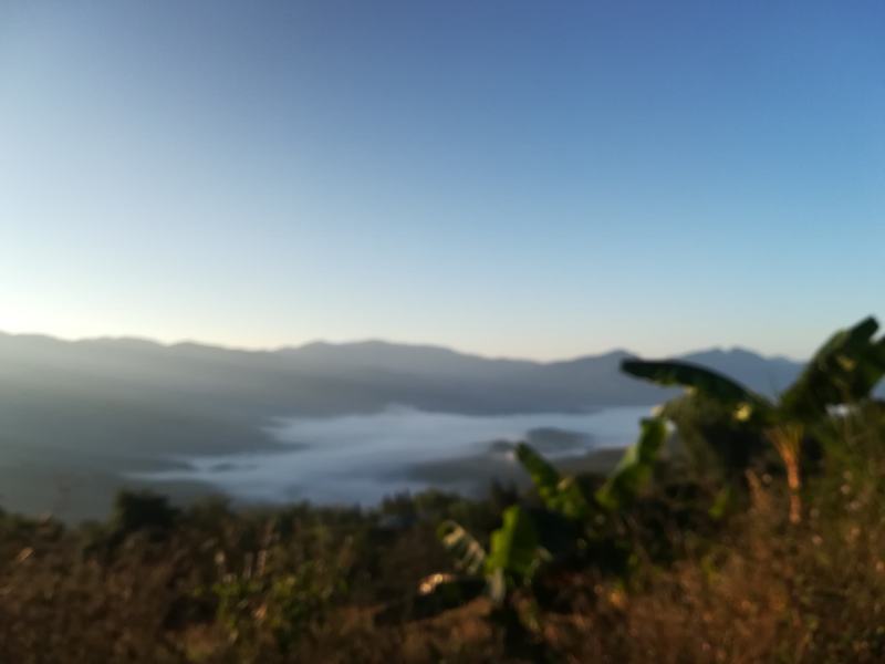 云南西盟佤族自治县大山生态蜜
