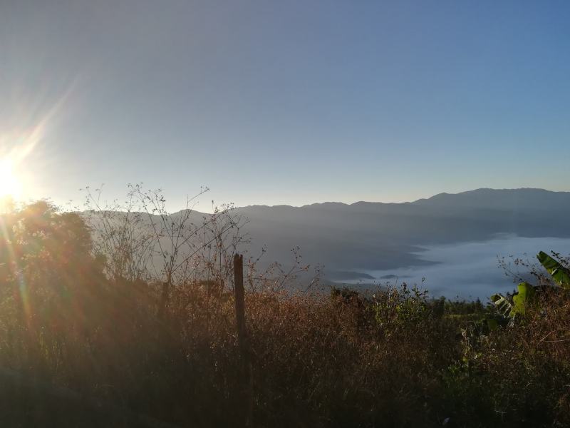 云南西盟佤族自治县大山生态蜜