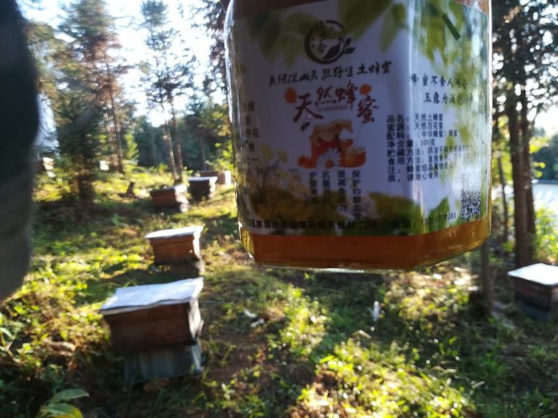 云南西盟佤族自治县大山生态蜜