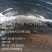 农家散养大笨鹅，山林溜达鸡