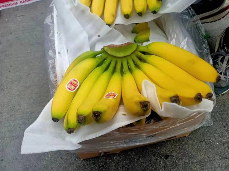 进口香蕉质量一级棒一件净重27斤