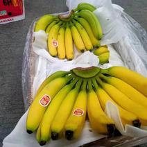 进口香蕉质量一级棒一件净重27斤
