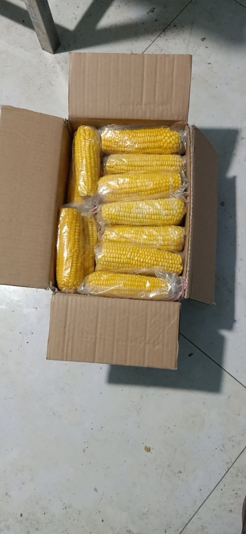 玉米，糯玉米，规格齐全速冻真空包装货源充足欢迎选购