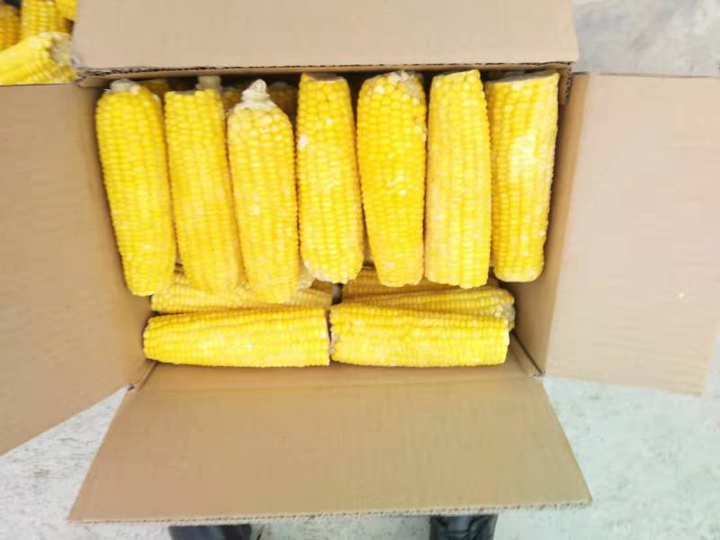 玉米，糯玉米，规格齐全速冻真空包装货源充足欢迎选购