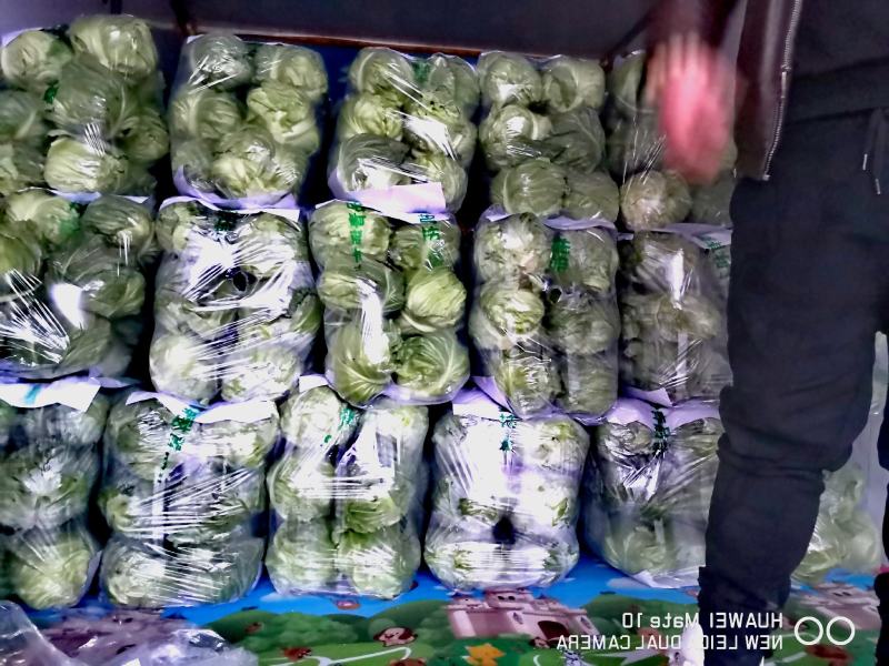 圆包菜甘蓝1/1公斤，产地直发可对接商超专业代收