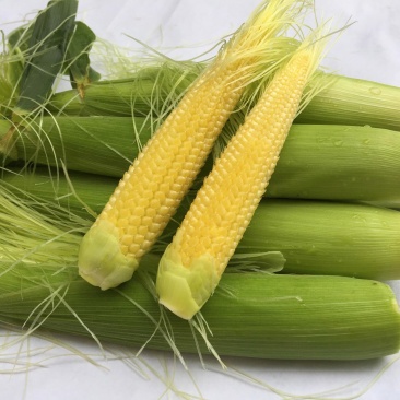 玉米笋无农药新鲜蔬菜迷你玉米芯水果玉米籽现摘现发食材包邮