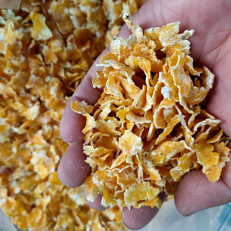 厂家直销优质玉米压片，玉米蒸汽压片养殖好饲料全国发货