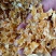厂家直销优质玉米压片，玉米蒸汽压片养殖好饲料全国发货
