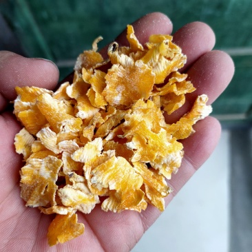 厂家直销优质玉米压片，玉米蒸汽压片养殖好饲料全国发货