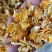 厂家直销优质玉米压片，玉米蒸汽压片养殖好饲料全国发货