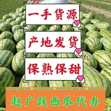 新疆西瓜皮毛亮、糖度高耐运输地头价欢迎咨询