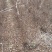 丛生紫微百日红基地现挖现发现货供应提供技术指导
