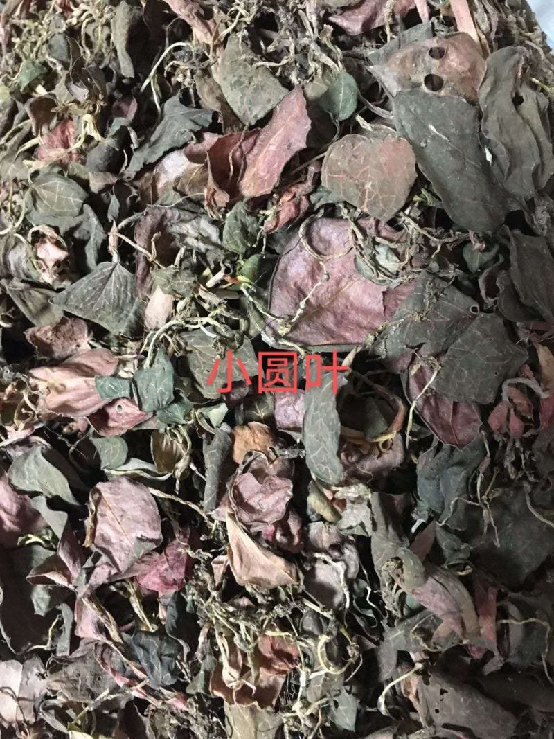 包邮野生金线莲干货正品2021新货全水洗500克一斤起发