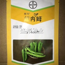 纽内姆圣保罗辣椒苗黄绿皮尖椒苗
