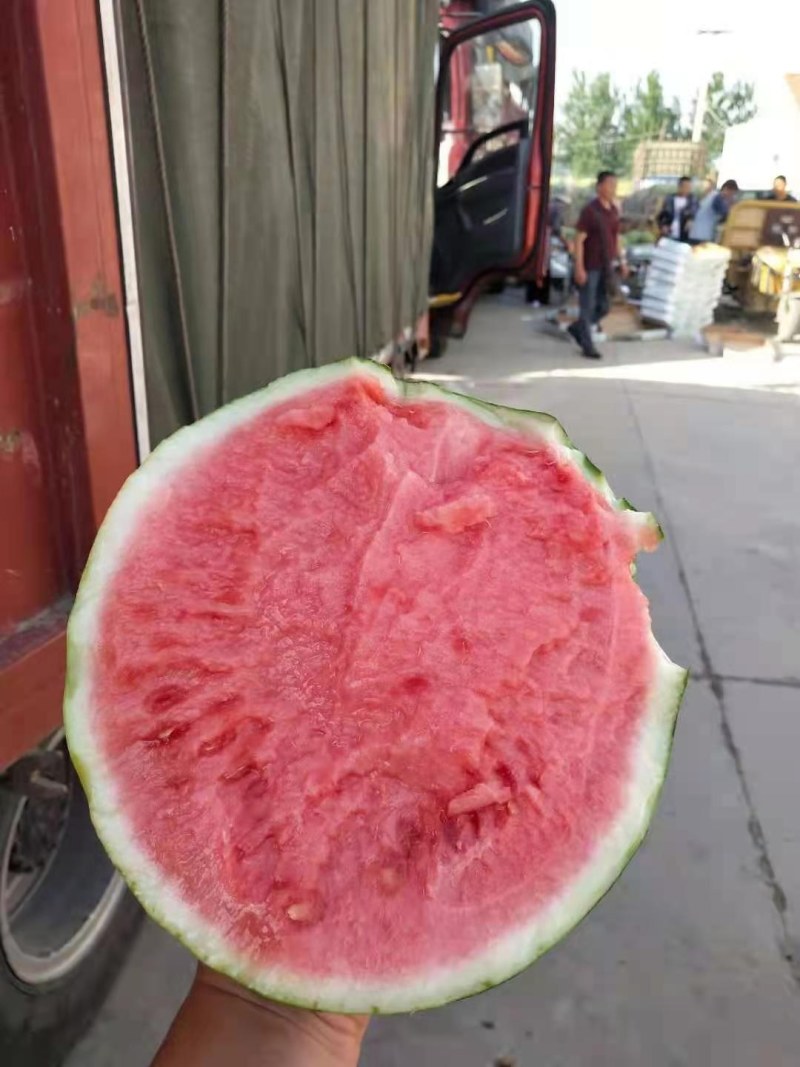 西瓜8424头茬精品大棚代收代发欢迎咨询