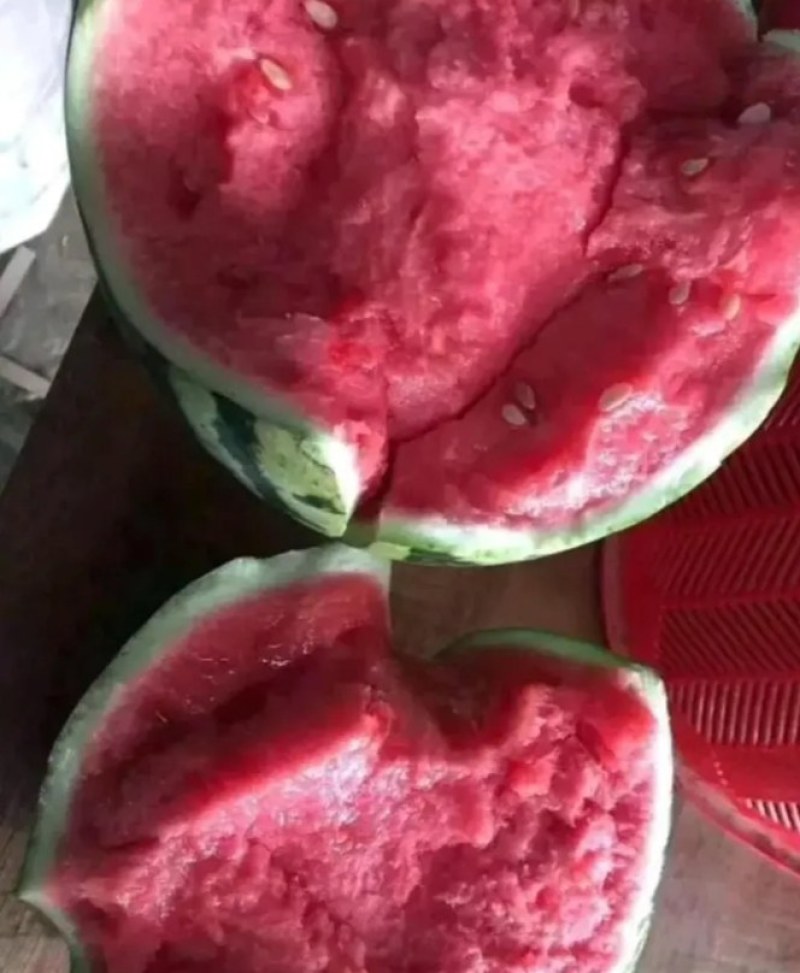 西瓜8424头茬精品大棚代收代发欢迎咨询