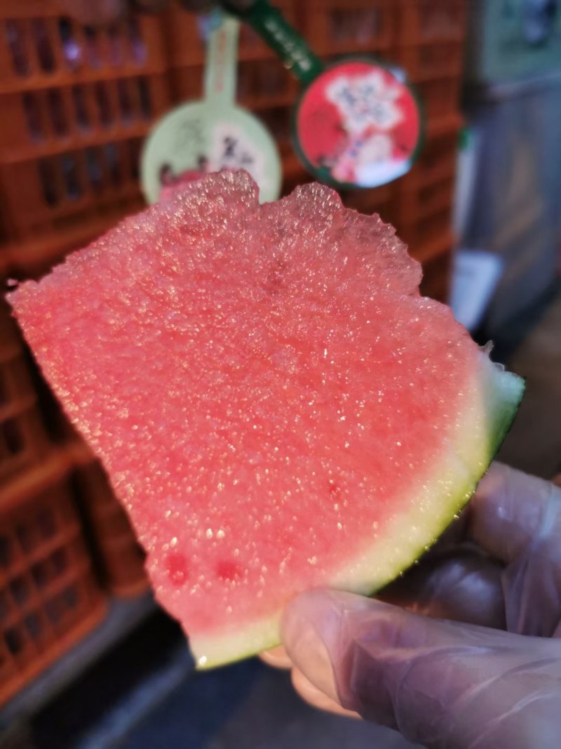 西瓜8424头茬精品大棚代收代发欢迎咨询