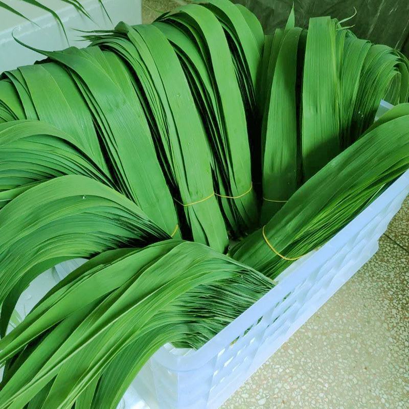 新鲜芦苇叶，粽叶！欲速从购