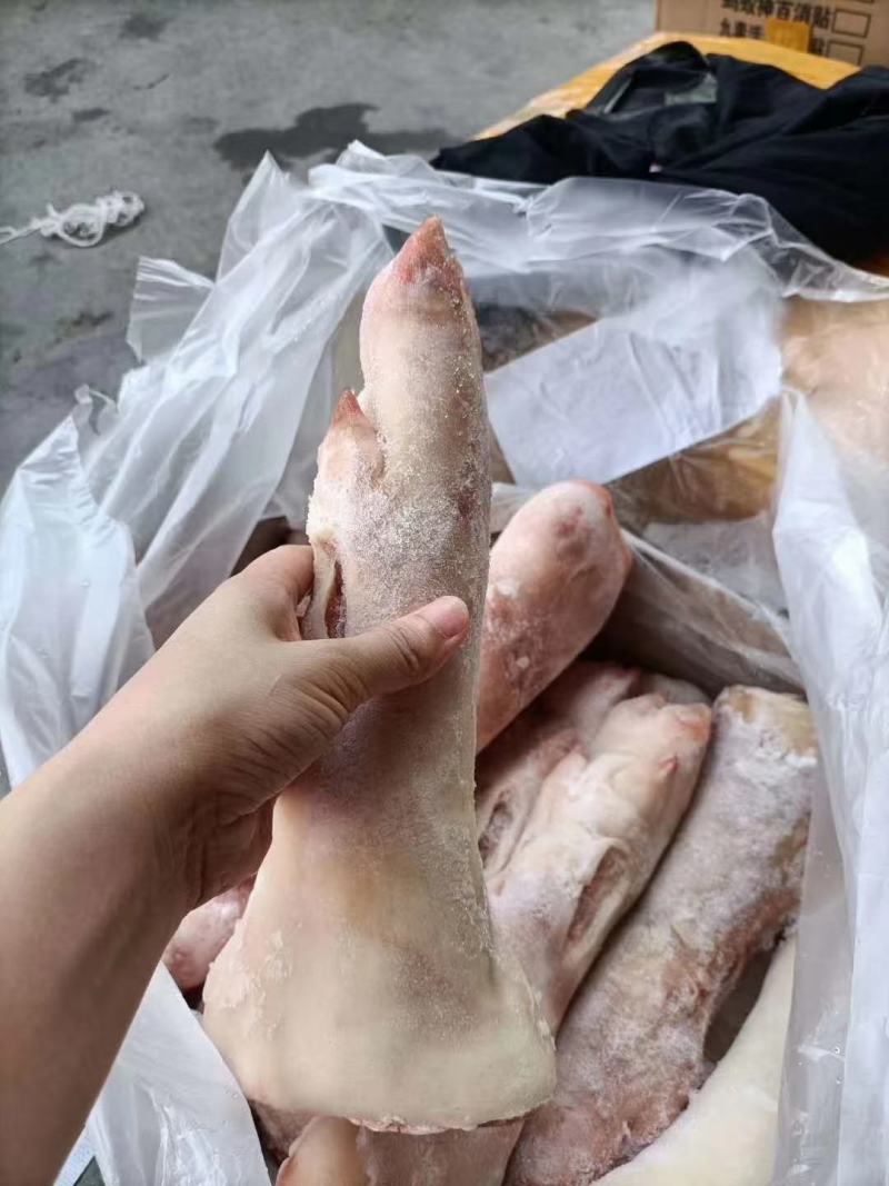 鲜猪蹄，质量保证，长短可选，长期有货，价格便宜，联系！