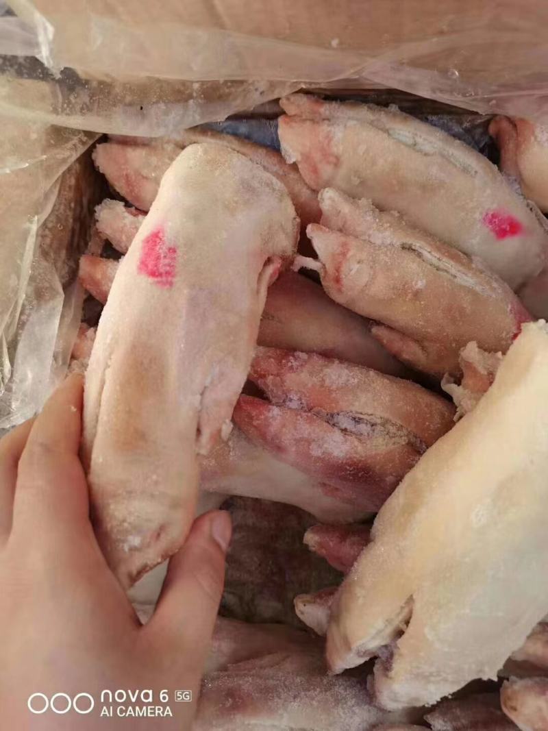 鲜猪蹄，质量保证，长短可选，长期有货，价格便宜，联系！