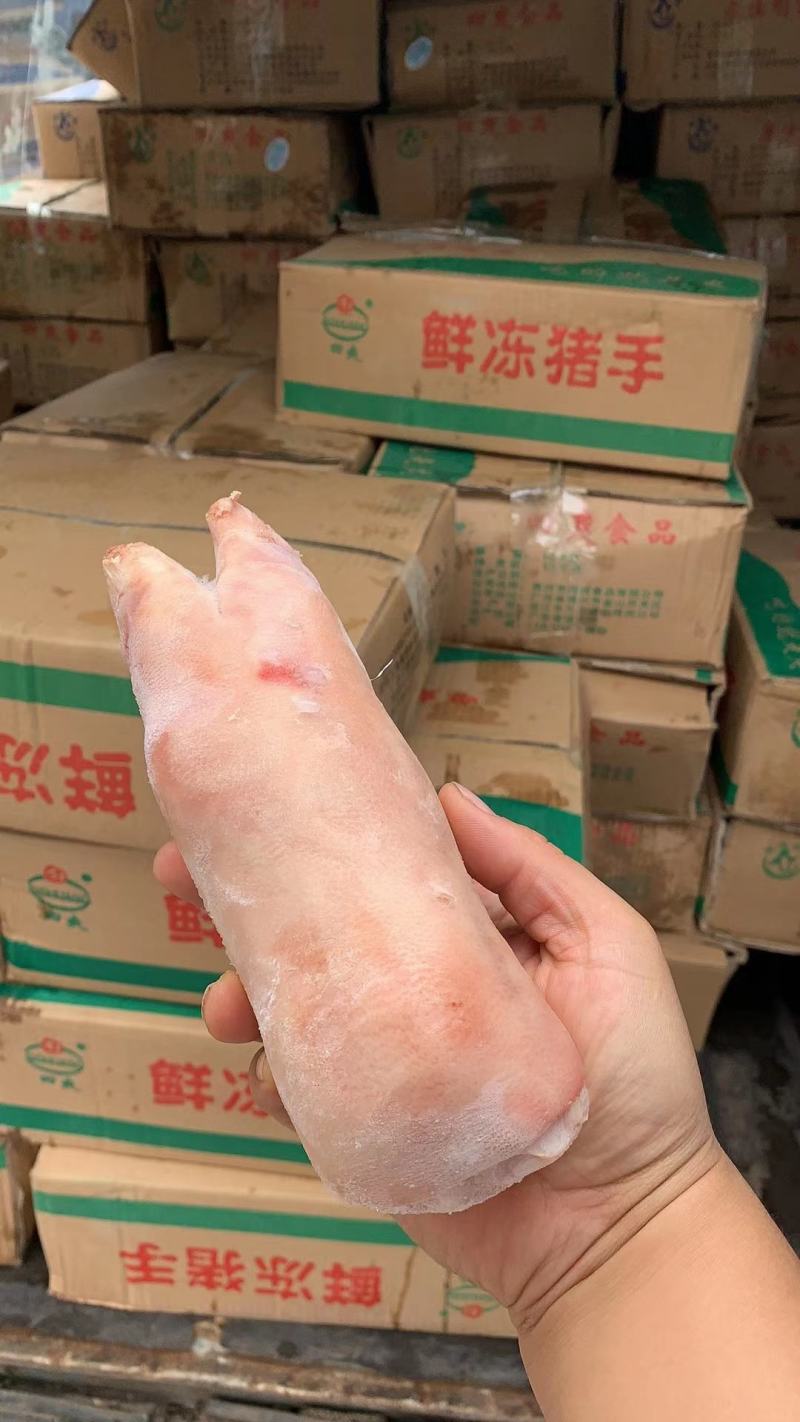 鲜猪蹄，质量保证，长短可选，长期有货，价格便宜，联系！