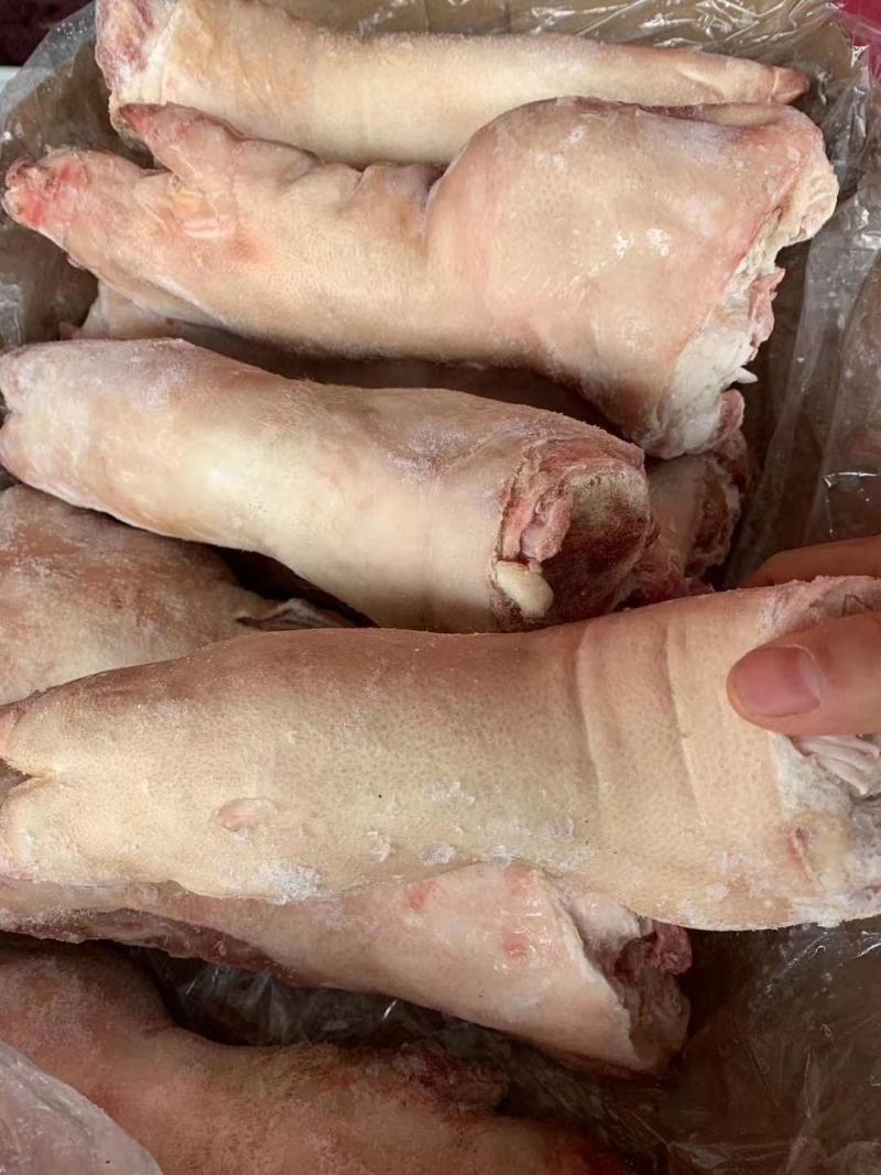 鲜猪蹄，质量保证，长短可选，长期有货，价格便宜，联系！