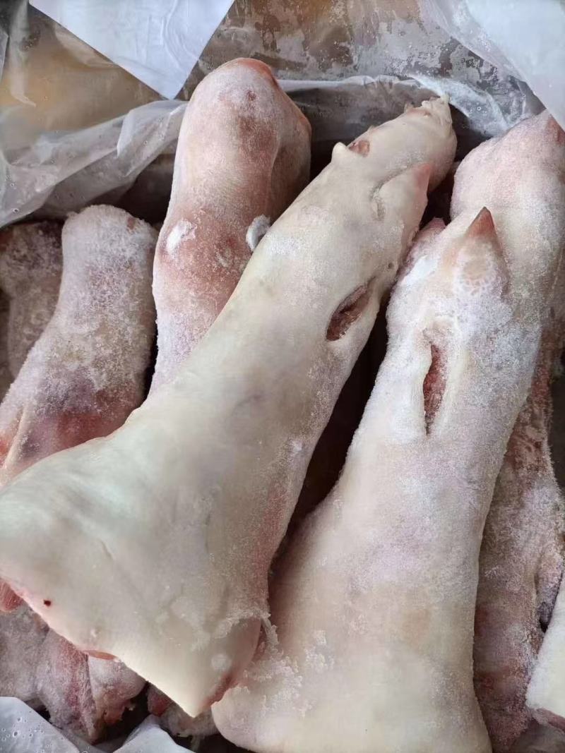 鲜猪蹄，质量保证，长短可选，长期有货，价格便宜，联系！