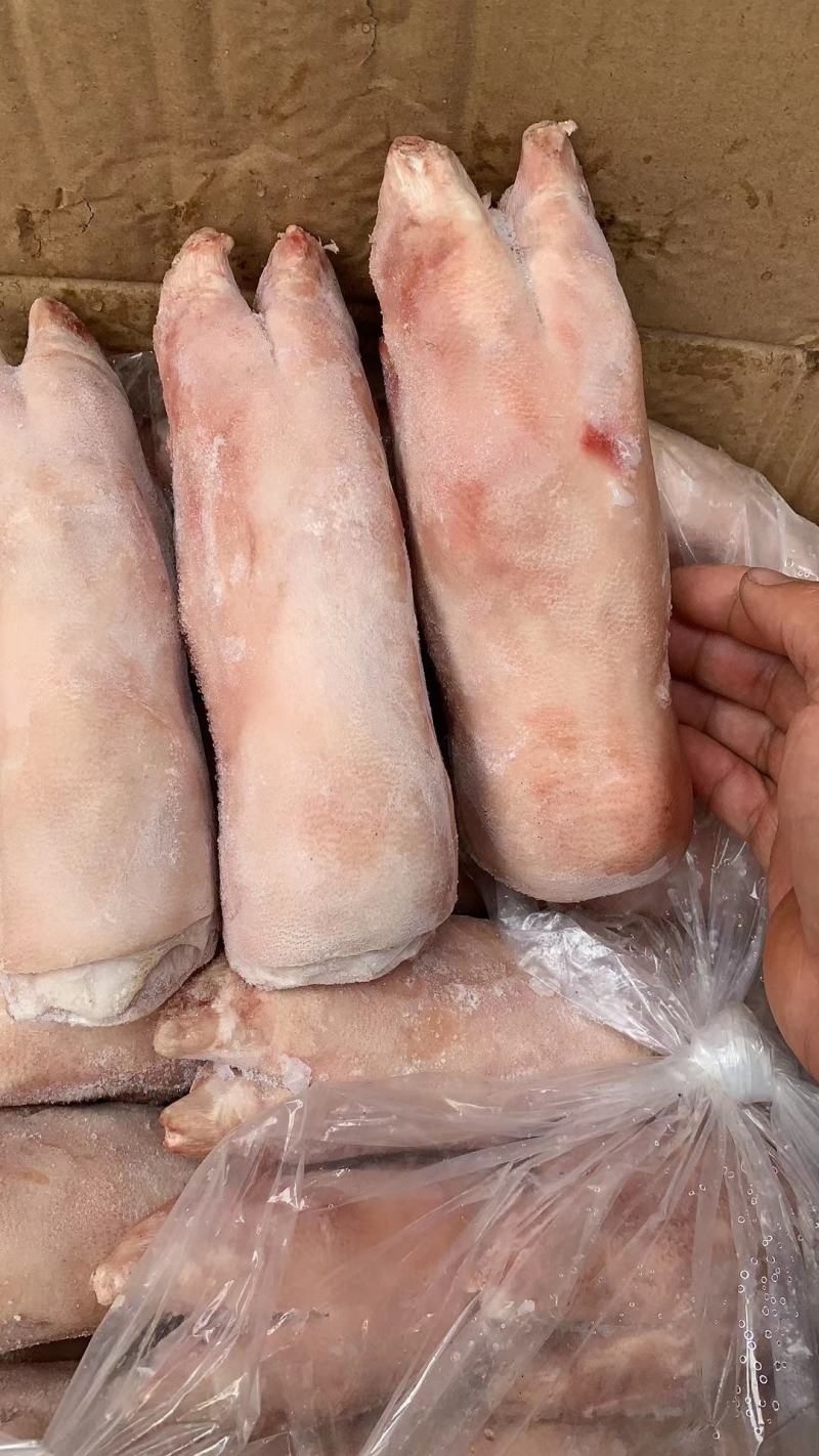 鲜猪蹄，质量保证，长短可选，长期有货，价格便宜，联系！
