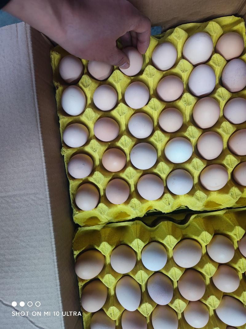 土鸡蛋安徽土鸡蛋精品360枚土鸡蛋双色土鸡蛋