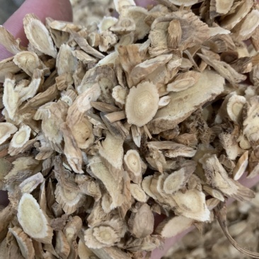 黄芪抓方药产地直销质量优