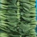【精品】油菜蔬菜内有大型冷库，冷链物流配送一条龙服务