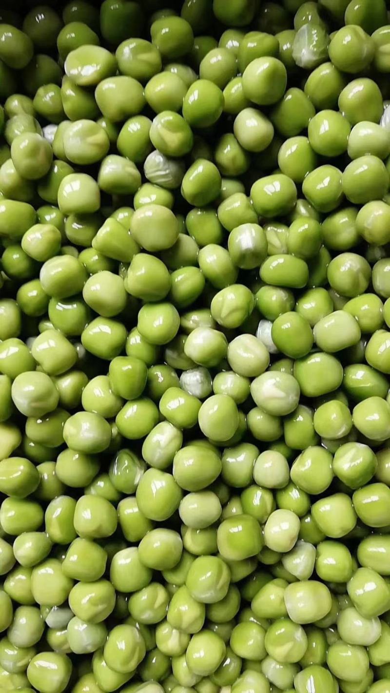 干豌豆大量现货美国品种豌豆米一斤泡两斤，大量现货，品质保