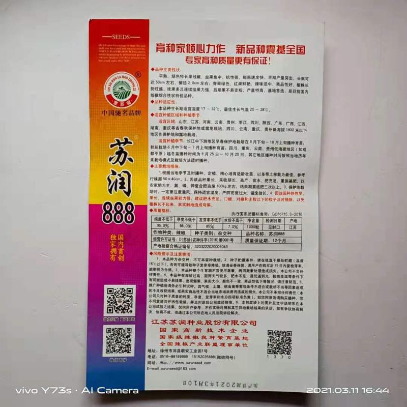 苏润999/888/998特长线椒品种种子青果软皮长线椒