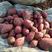 湖北紫罗兰紫薯新鲜紫薯大量上市电商货市场货支持线上交易