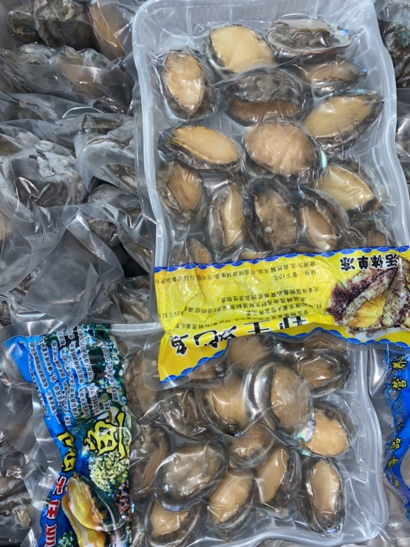 泓振鲍源鲍鱼鲜冻鲍鱼真空包装6-22头全规格源头批发