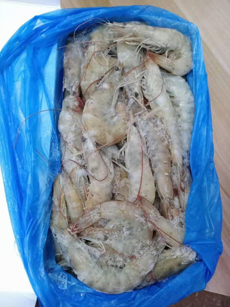 进口白对虾143王牌规格品牌齐全，货源充足，全国发货