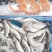 进口白对虾143王牌规格品牌齐全，货源充足，全国发货