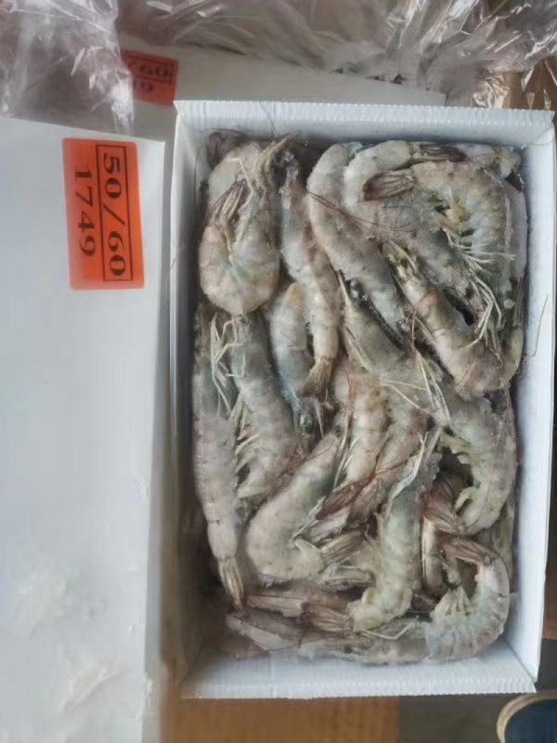 桑塔白对虾盐冻块冻六证齐全，全国发货，可走零单，整柜出