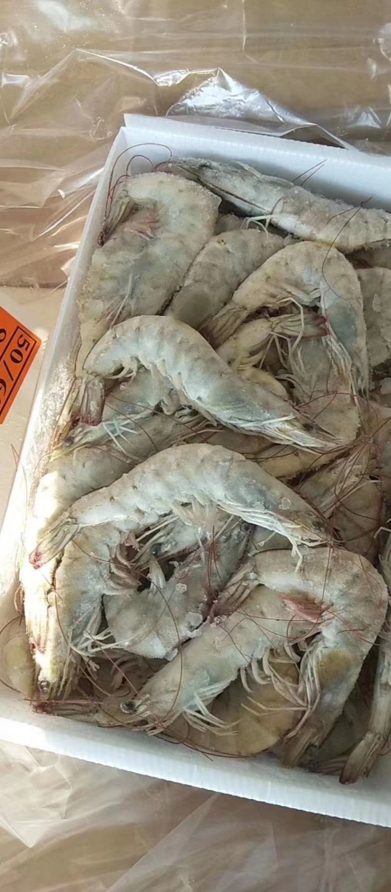 桑塔白对虾盐冻块冻六证齐全，全国发货，可走零单，整柜出